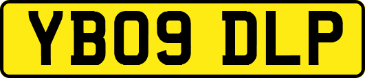 YB09DLP