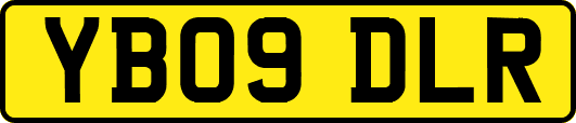 YB09DLR