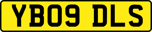 YB09DLS
