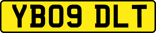 YB09DLT
