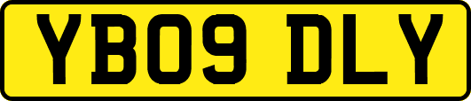 YB09DLY