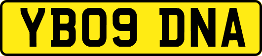 YB09DNA