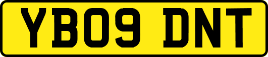 YB09DNT