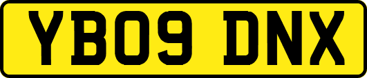YB09DNX