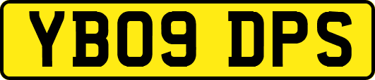 YB09DPS
