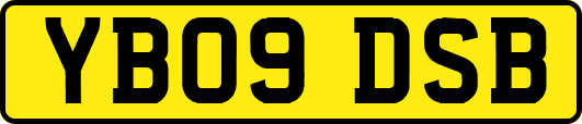 YB09DSB