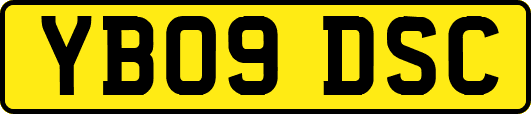 YB09DSC