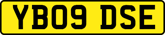 YB09DSE