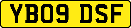 YB09DSF