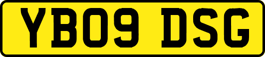 YB09DSG