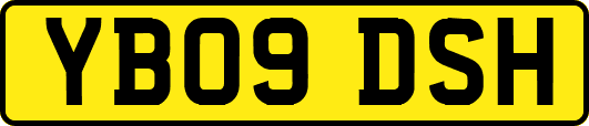 YB09DSH