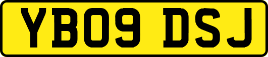 YB09DSJ