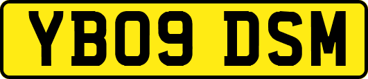 YB09DSM