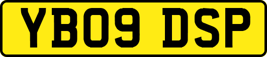 YB09DSP