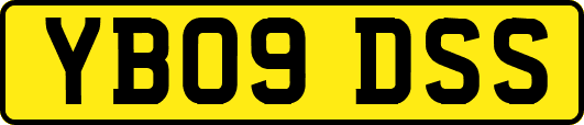 YB09DSS