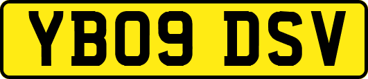 YB09DSV
