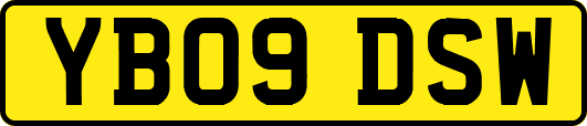 YB09DSW