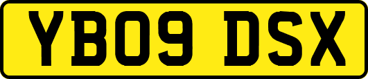 YB09DSX