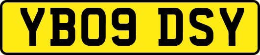 YB09DSY