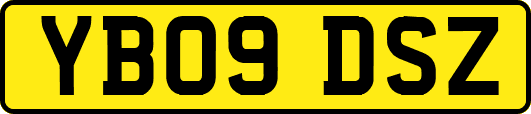 YB09DSZ