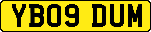 YB09DUM