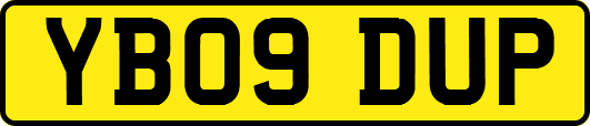 YB09DUP