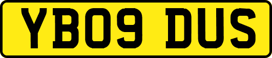 YB09DUS