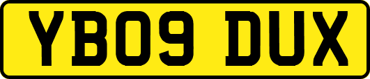 YB09DUX