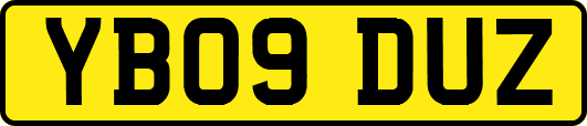 YB09DUZ