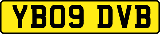 YB09DVB