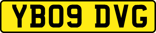 YB09DVG
