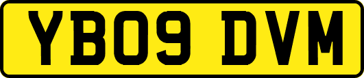 YB09DVM