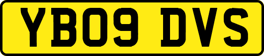 YB09DVS