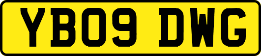 YB09DWG