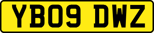 YB09DWZ