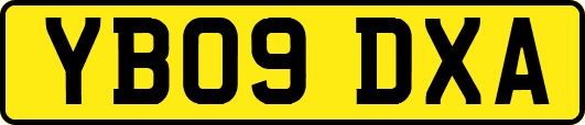 YB09DXA