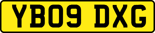 YB09DXG