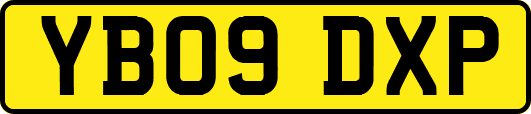 YB09DXP