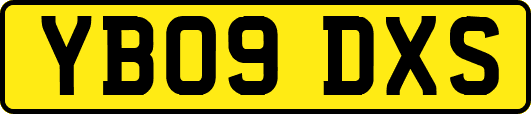 YB09DXS