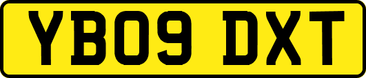 YB09DXT