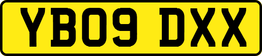 YB09DXX