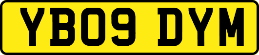 YB09DYM
