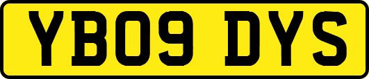 YB09DYS