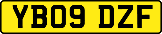 YB09DZF