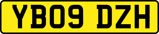 YB09DZH