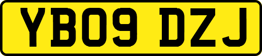 YB09DZJ