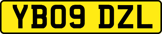 YB09DZL