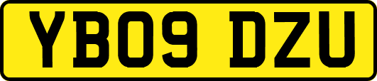 YB09DZU