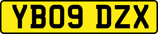 YB09DZX