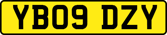 YB09DZY